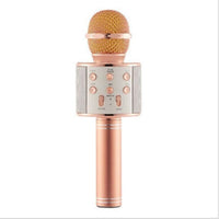 Wireless Microphone WS858